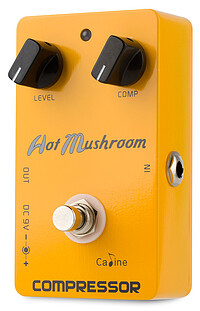 Caline steht für absolut durchdachte, funktionale und haltbare Produkte mit überzeugendem Preis-/Leistungsverhältnis. Eine …... Caline CP-10 Hot Mushroom Compressor
