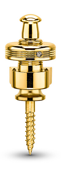 Schaller S-​Locks gold (2)  