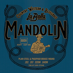 La Bella 880 H Mandolin Bronze 012/040 