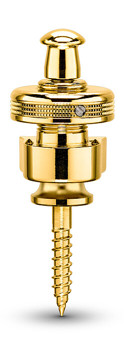 Schaller S-Locks gold (2)  