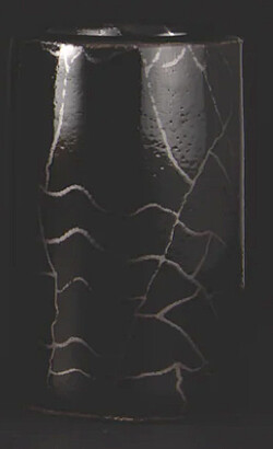 Star Singer Artist Shadow Slide short  