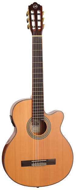 Tanglewood EMDC7 E.Madera Dominar TL  