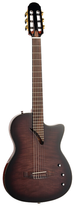 Tanglewood EMDC8BK E.Madera Dominar TL  