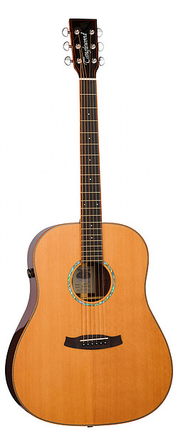 Tanglewood TRS6SE Rosew. Smart Dreadn.  