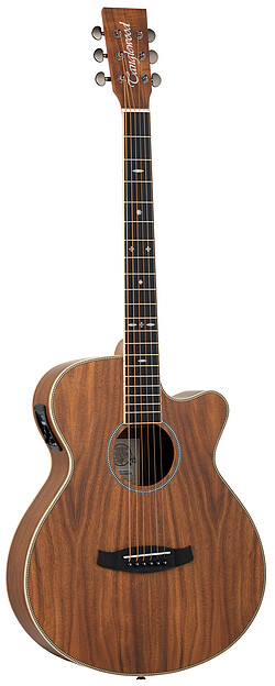 Tanglewood TRU4CEAK Reunion Pro S.Folk  