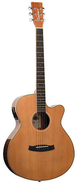 Tanglewood TW4CE NA Winterleaf S. Folk  