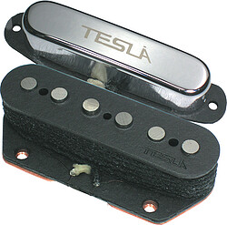 Tesla Pickup Opus-TE Set neck & bridge  