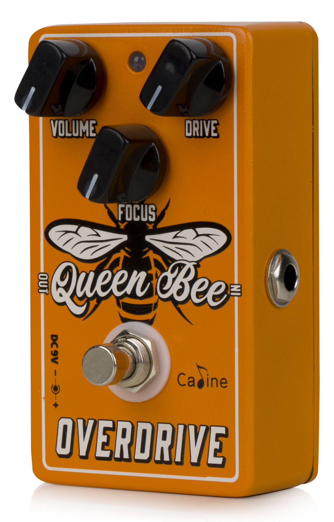 Caline CP-​503 Queen Bee Overdrive  