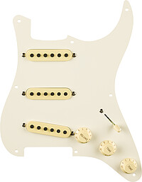 Fender® Prewired Strat® PG E.​Johnson par 