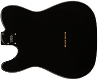 Fender T-Body Deluxe Alder black  
