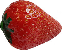 Scott Shaker Strawberry  