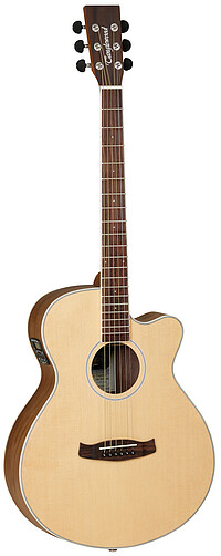 Tanglewood DBTSFCEBW Discovery Exotic  