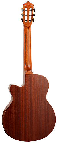 Tanglewood EMDC7 E.Madera Dominar TL  