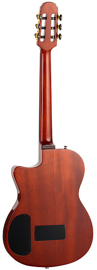 Tanglewood EMDC8CG E.Madera Dominar TL  