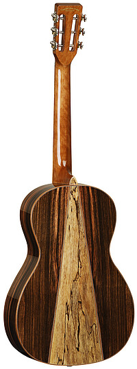 Tanglewood TJ8E Java Exotoc Parlour  