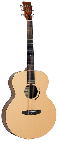 Tanglewood TM3 Metropolitan Orch.​Folk  