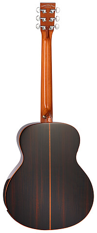 Tanglewood TRS1E Rosew. Smart Mini Folk  