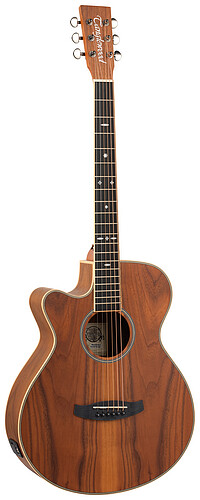 Tanglewood TRU4CEAWLH ReunionPro S.​FolLH 