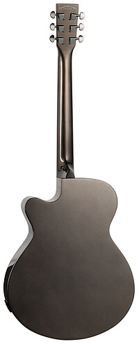 Tanglewood TW4CECBN Winterleaf Carbon  